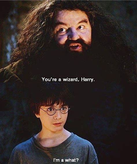 I can't be a wizard. I'm just Harry. Well, just Harry, you're a wizard